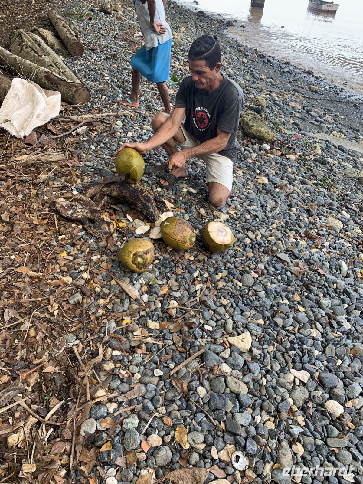 Es gibt leckere Kokosnüsse