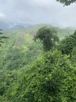 Der Nebel lichtet sich