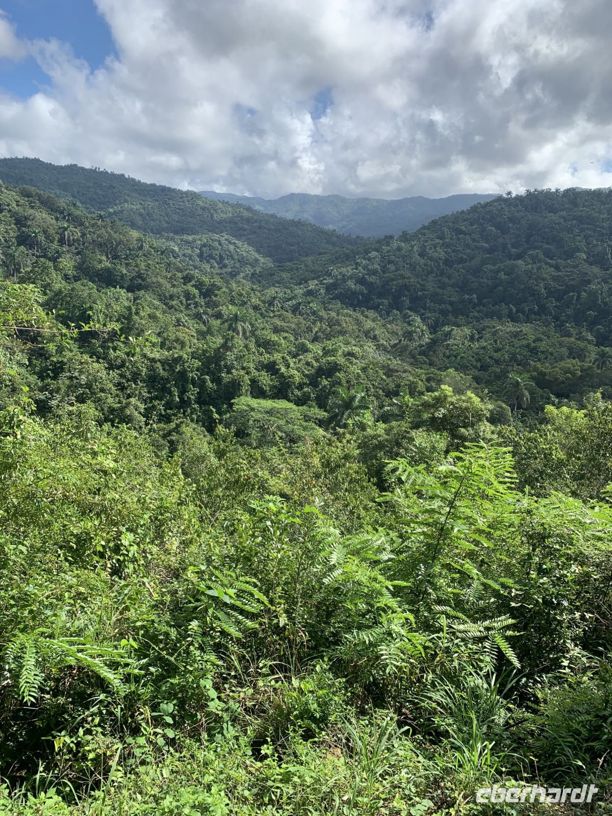 In den Bergen der Escambray