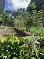 Idyllischer Rastplatz in der Escambray