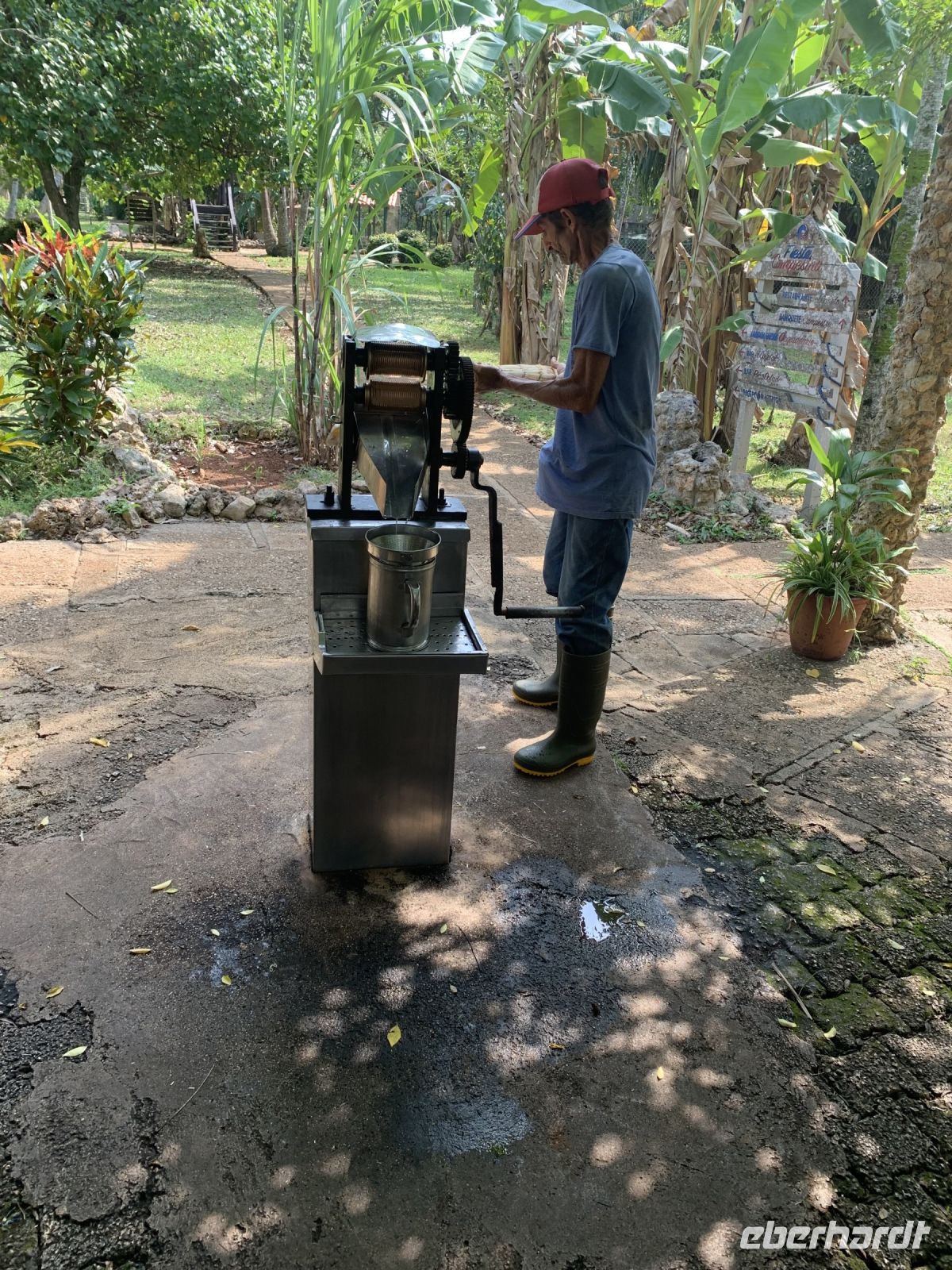 Zuckerrohrmühle, rein ökologisch