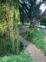 Im Stadtpark von Havanna