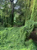 Im Stadtpark von Havanna