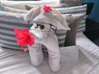 Havanna Hotel Palacio de los Corredores - Handtuch trägt Brille