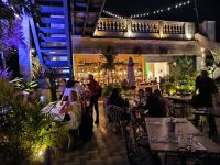 Havanna Paladar Yarini