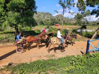 Viñales - Fortbewegung auf dem Land