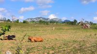 Valle de Viñales