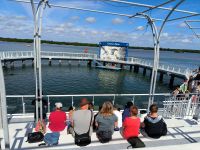 Cayo Santa Maria - Delfinarium