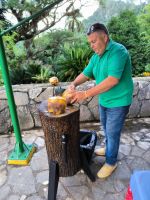 Soroa - Orchideengarten mit Kokosnüssen