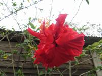219 Impressionen