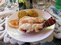 Lecker aber teuer. Languste