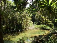 Im Nationalpark von Guanayara