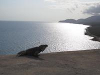 Blick von der Festung El Morro