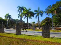 traditionelle Wachablöse