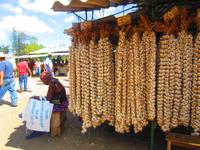 Auf dem Markt in Camagüey