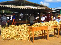 Auf dem Markt in Camagüey