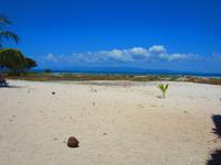 Ausflug zur Trauminsel Cayo Macho