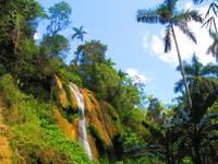 Wanderung durch den Regenwald