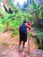 Wanderung durch den Regenwald