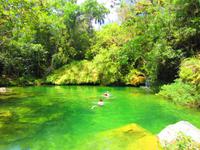 die mutigen wagen sich ins Wasser