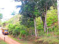 Unsere russische Limousine