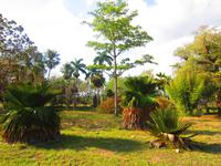 Im botanischen Garten