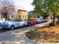 Unsere Luxuskarossen