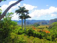 Das grüne Vinales Tal