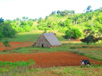 Landidylle im Vinalestal