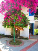 Im Cafe de Maria gabs Kaffee mit Rum