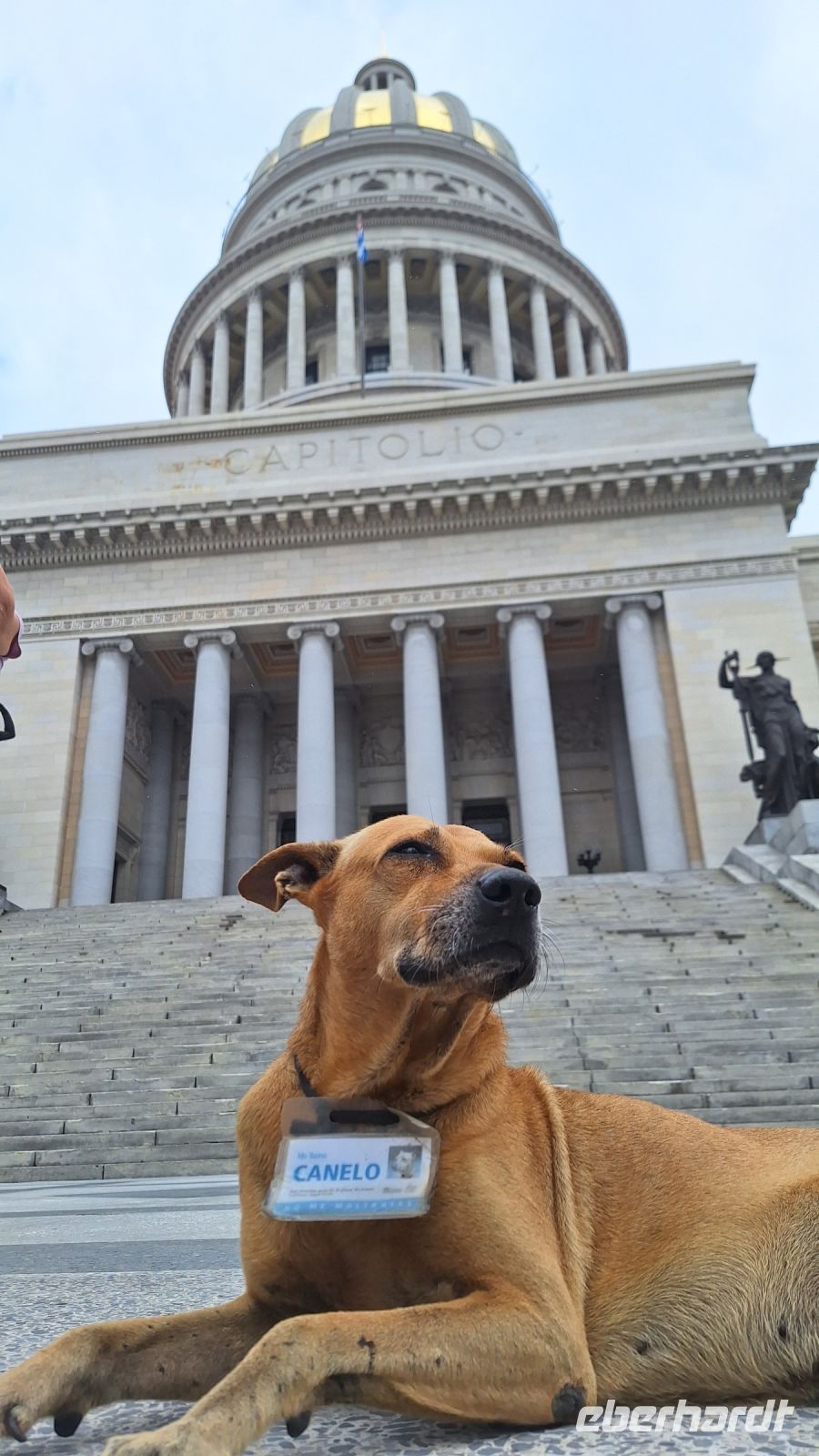 Havanna: Unser Freund Canelo vor dem Kapitol