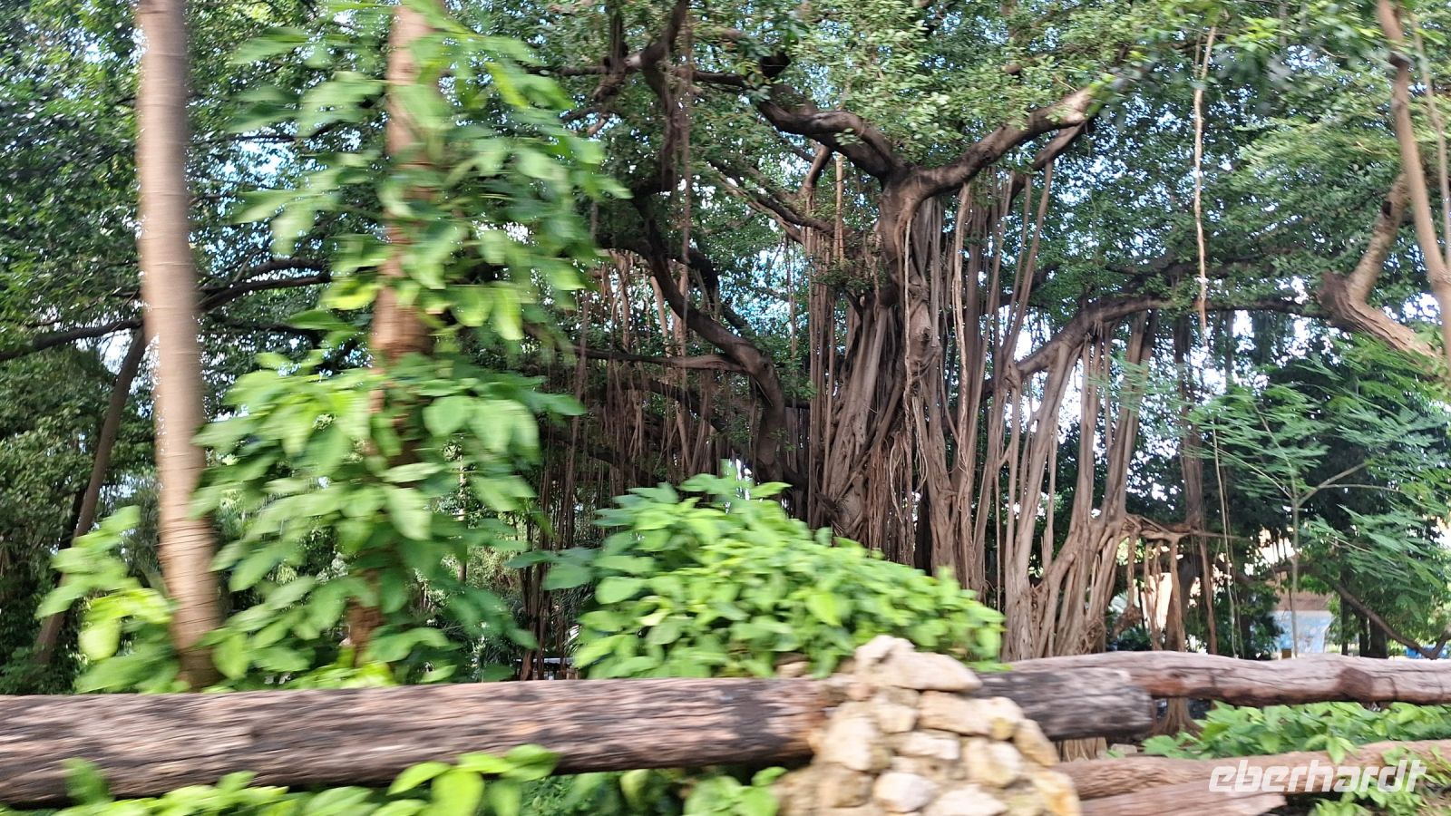 Havanna: Oldtimer Stadtrundfahrt