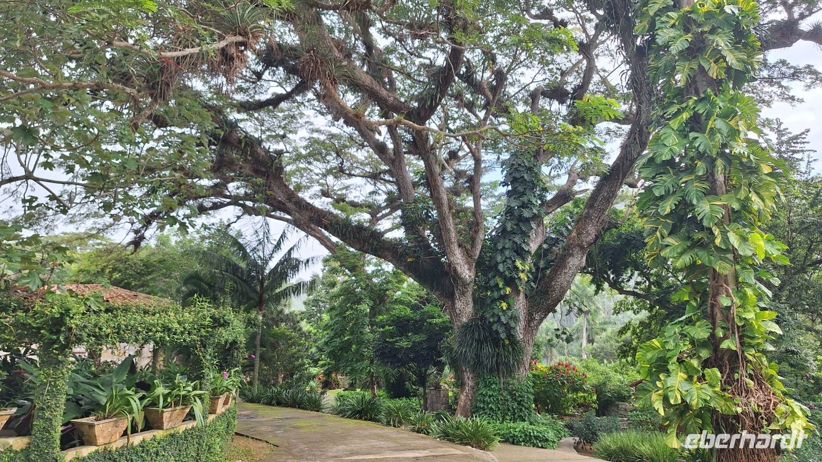 Soroa: Botanischer Garten