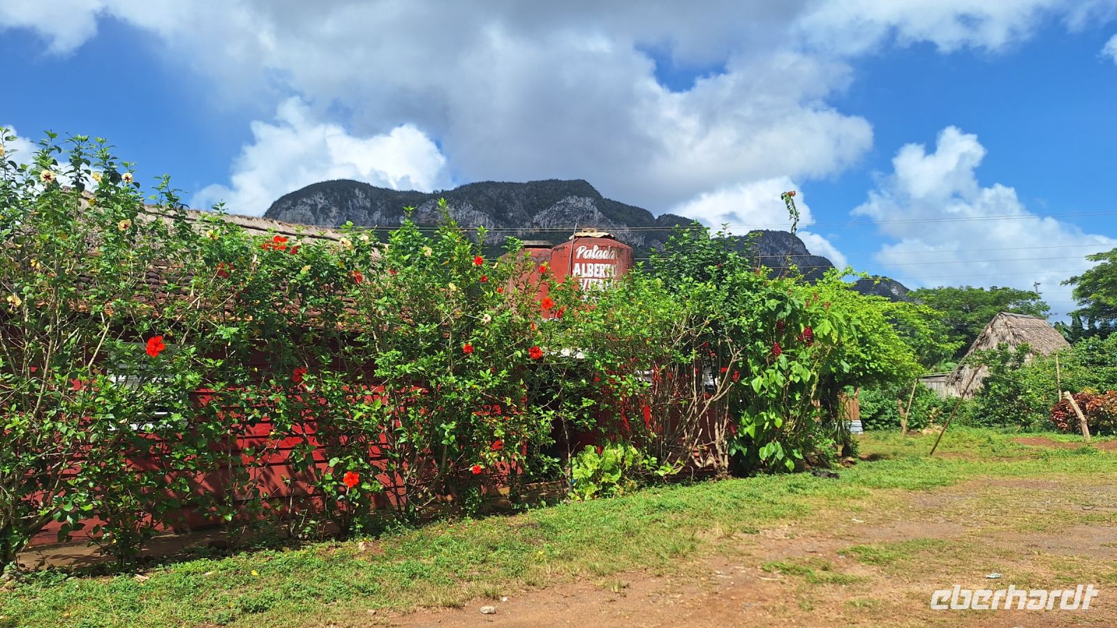 Viñales: Finca von Alberto Vitamina