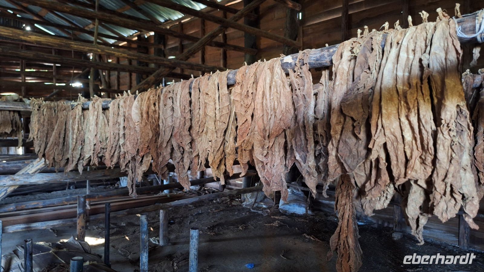 Besuch bei einem Tabakbauern