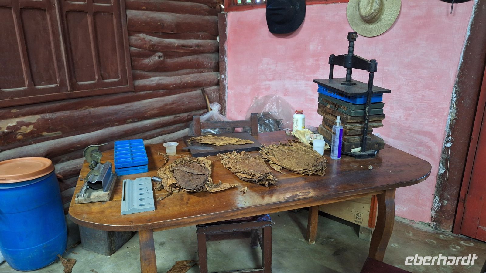 Besuch bei einem Tabakbauern