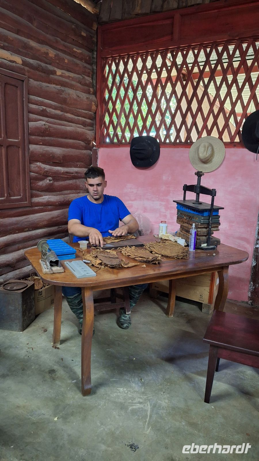 Besuch bei einem Tabakbauern