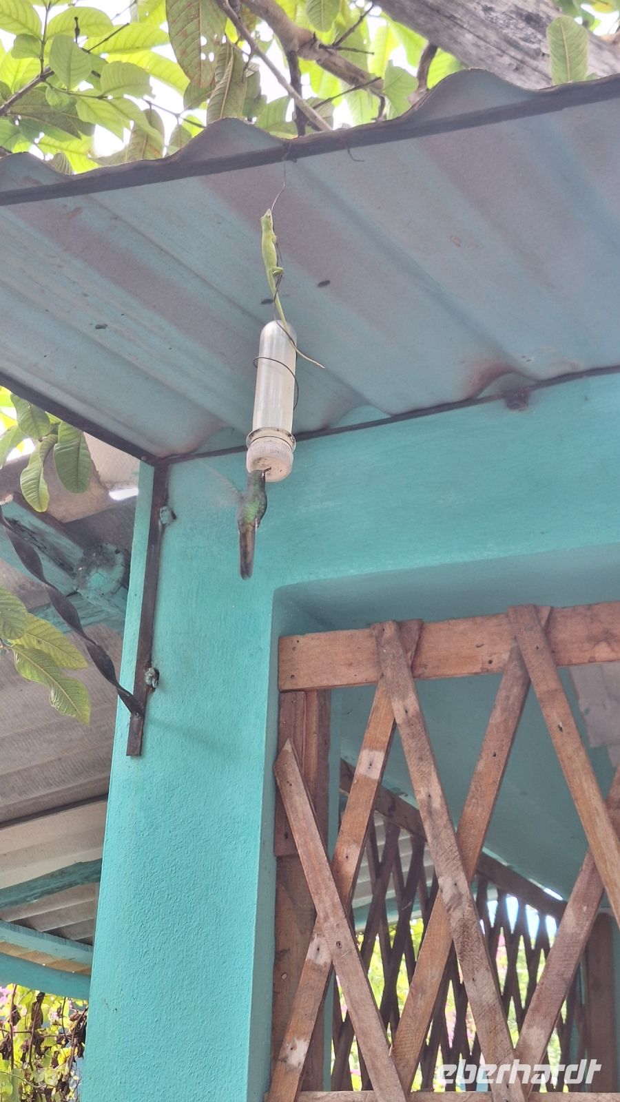 Unterwegs an die Schweinebucht