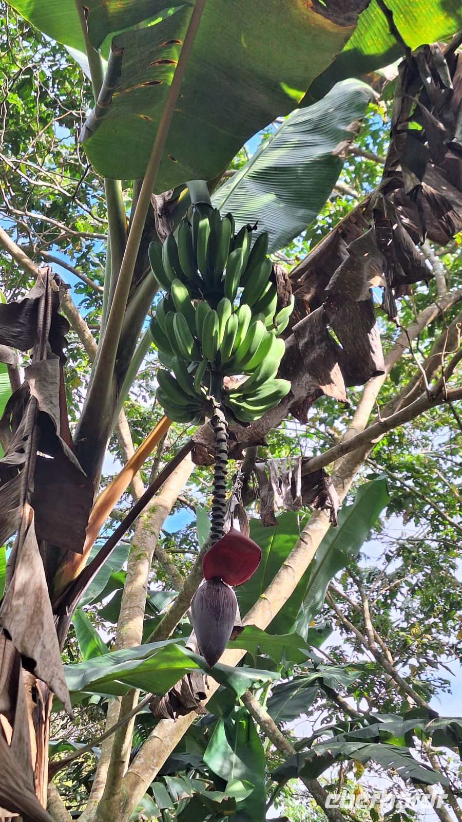 Wanderung in der Sierra de Escambray