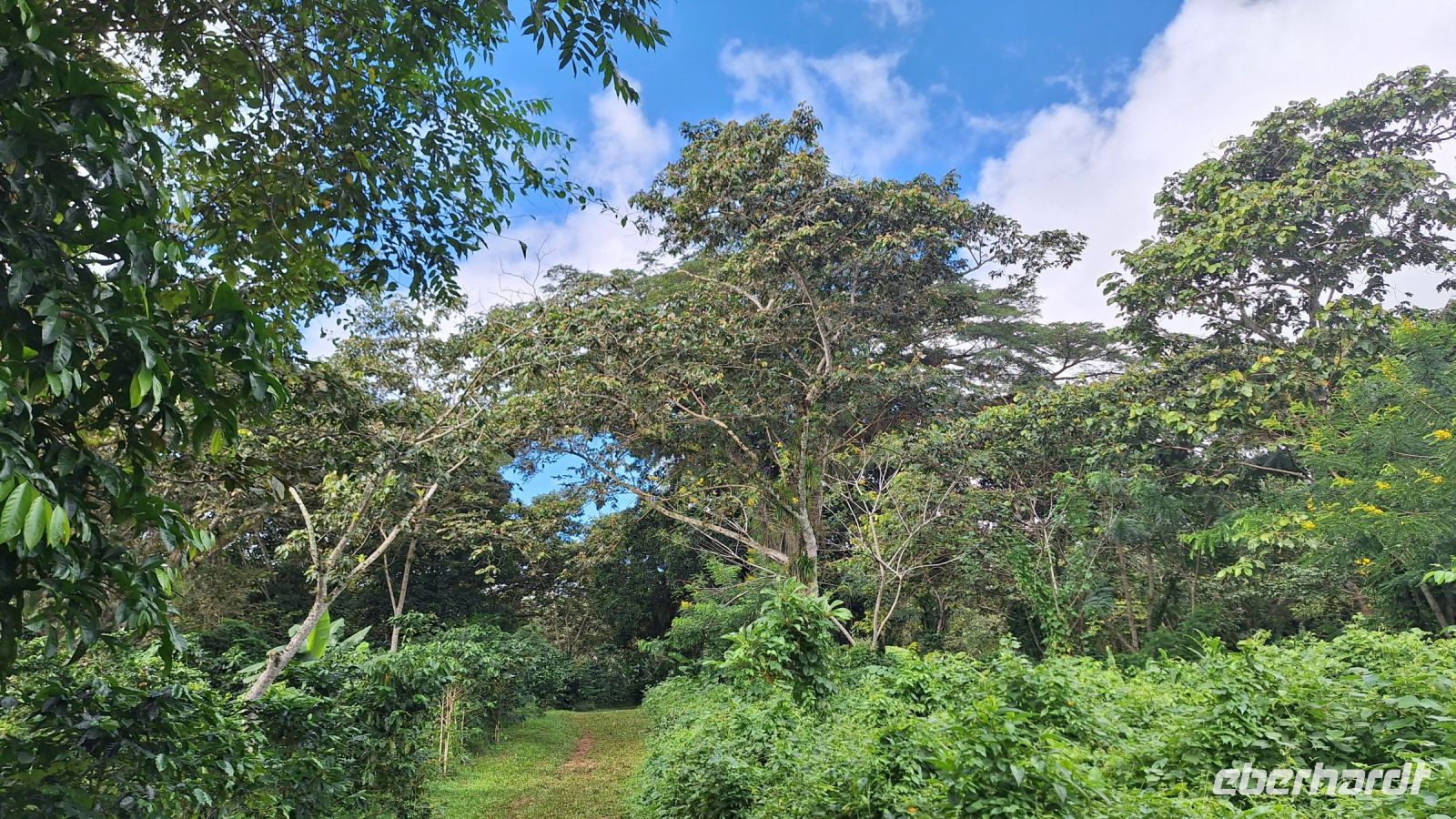 Wanderung in der Sierra de Escambray