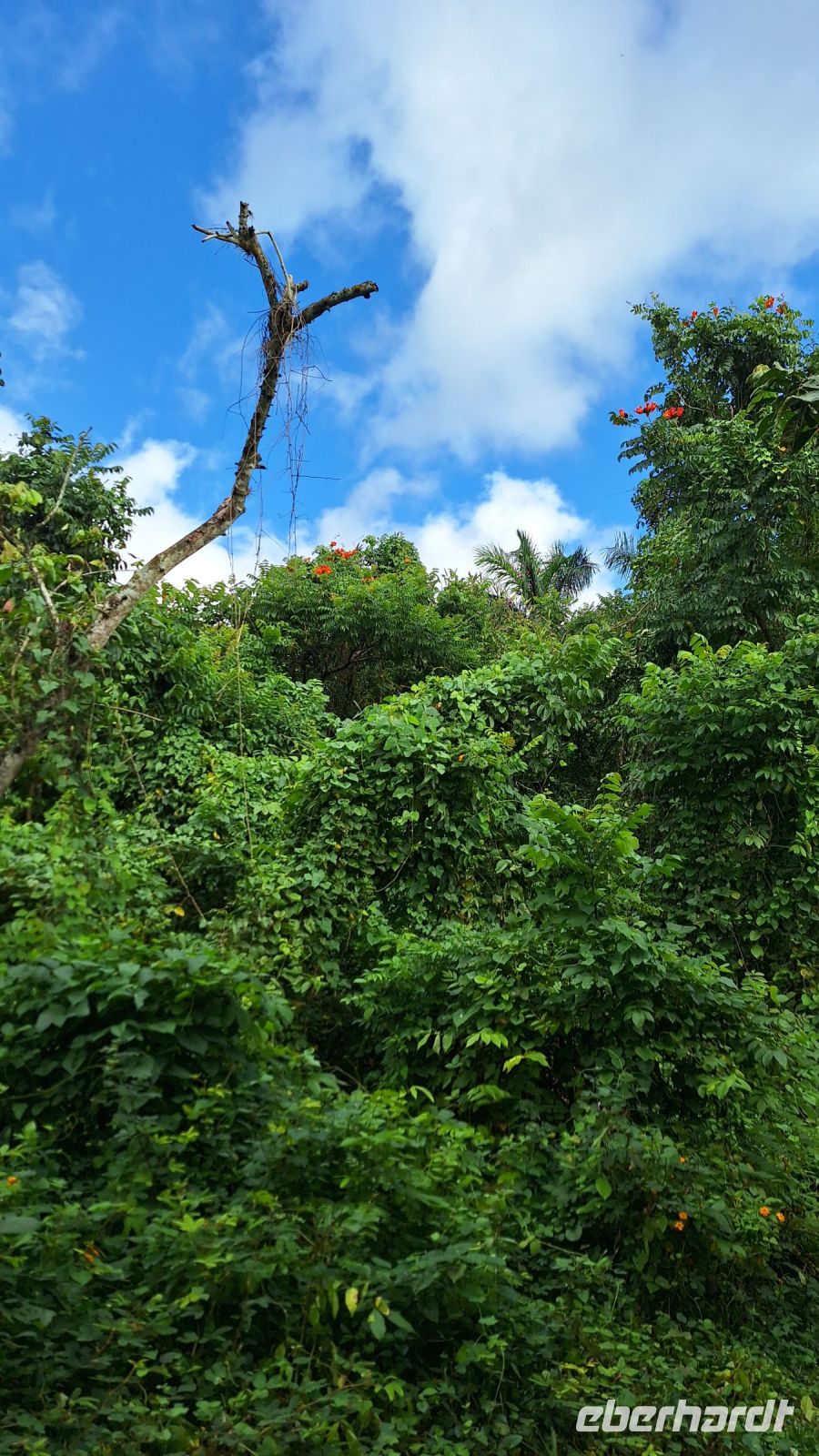 Wanderung in der Sierra de Escambray