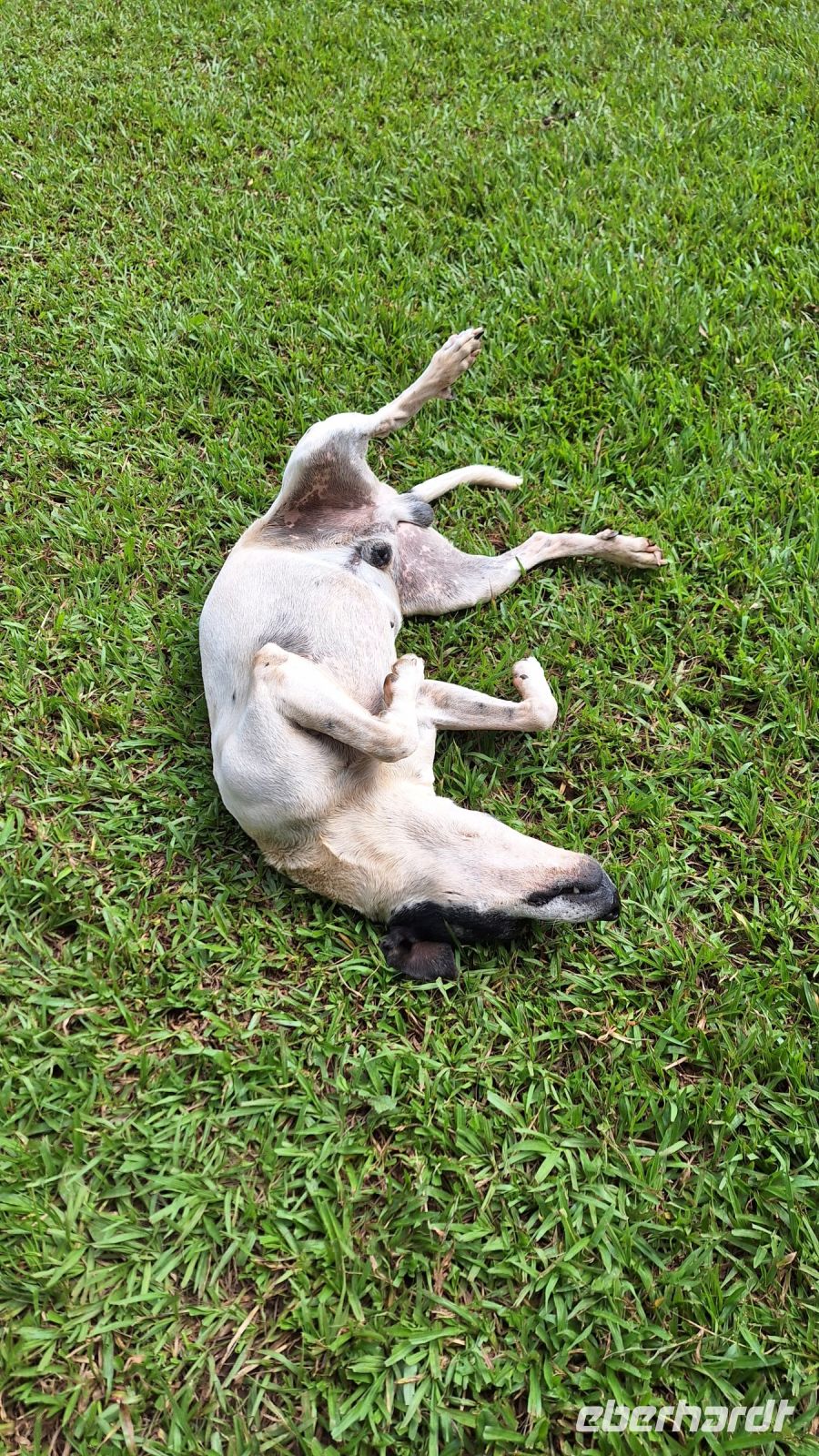 Begrüßung beim Mittagessen