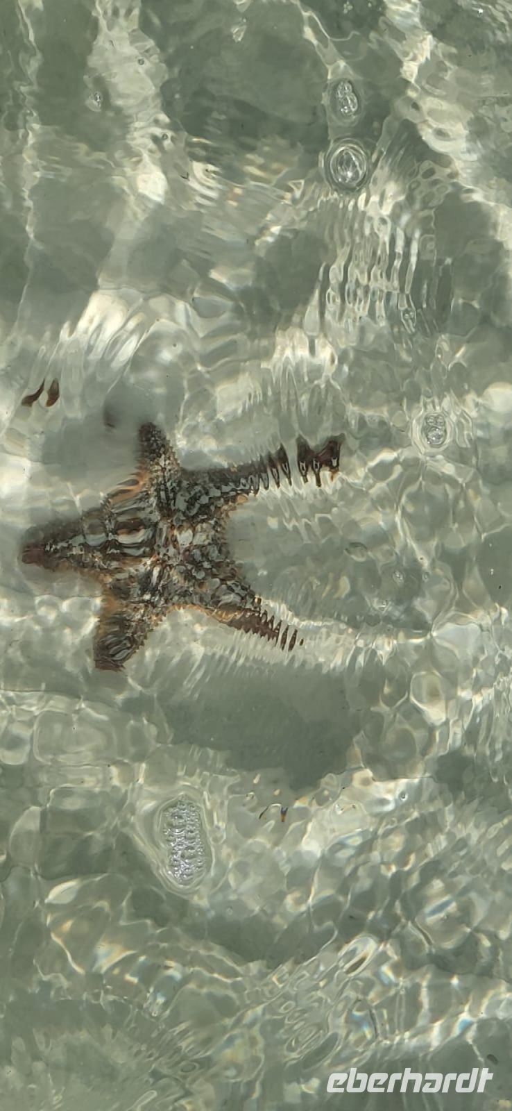 Strand in Cayo Santa María