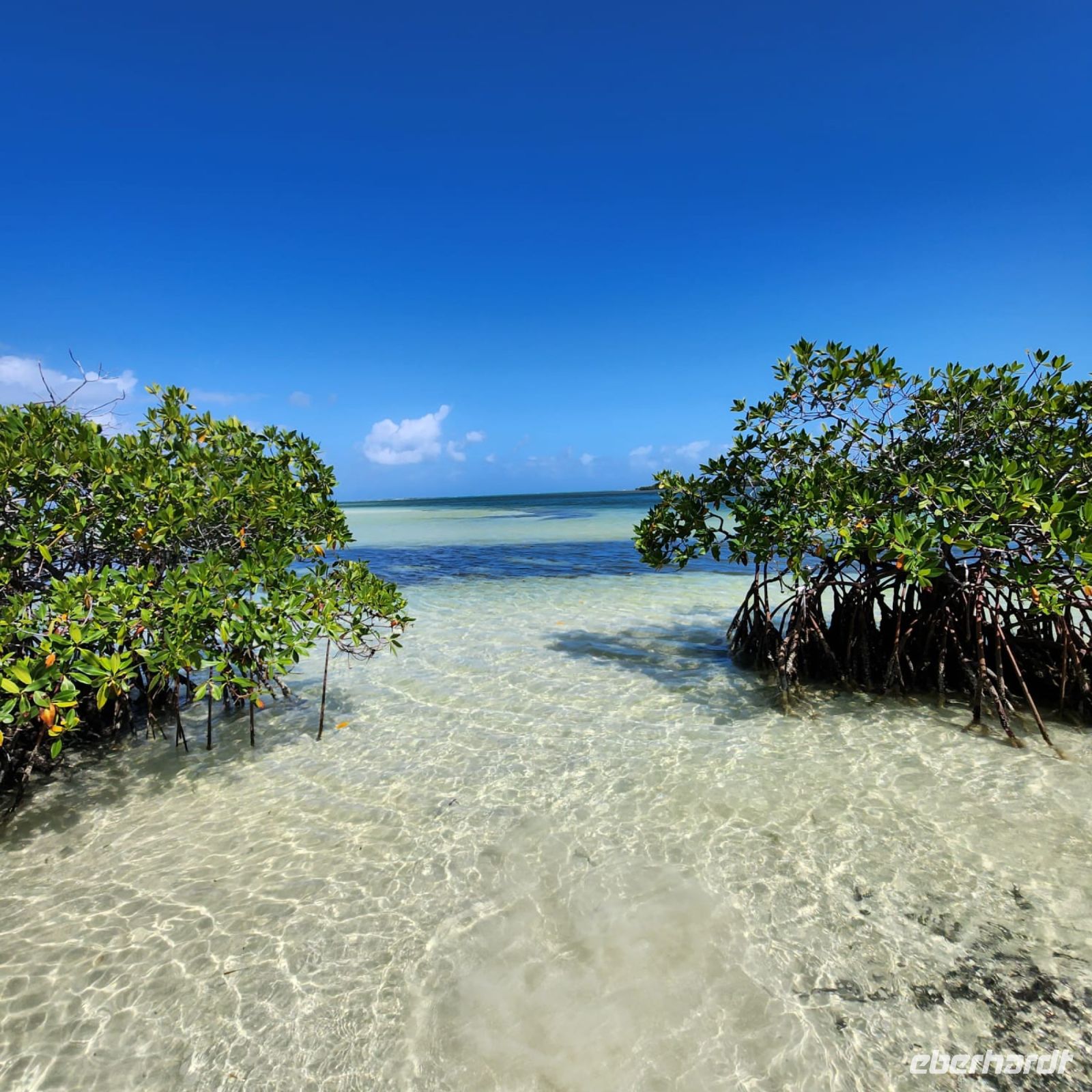 Strand in Cayo Santa María