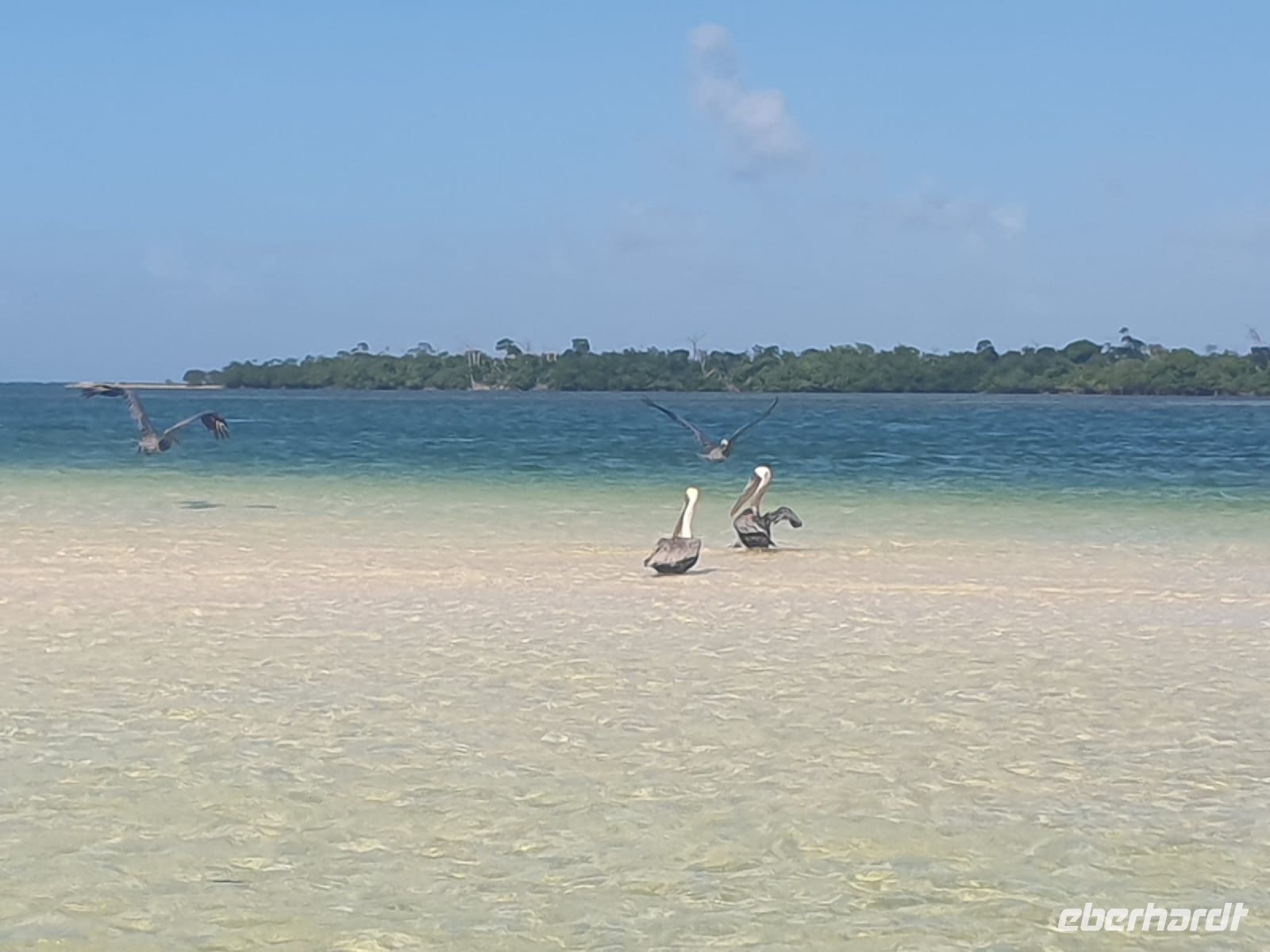 Strand in Cayo Santa María