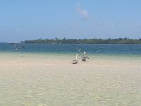 Strand in Cayo Santa María
