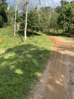 Malerisch ist der Weg durch den Park