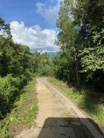 Der Weg ist unbefestigt und kann nur mit Geländefahrzeugen bewältigt werden