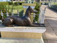 Ein Windhund bewacht den Park