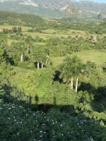 Blick vom Hotel ins Tal